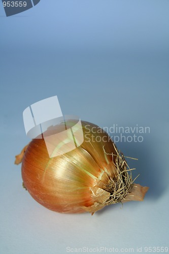 Image of onion