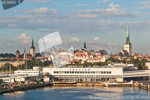 Image of Kind from the sea on port Tallinn