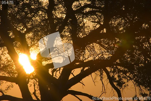 Image of African sunset