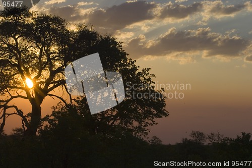 Image of African sunset