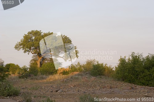Image of African sunset