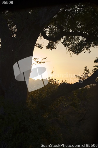 Image of African sunset