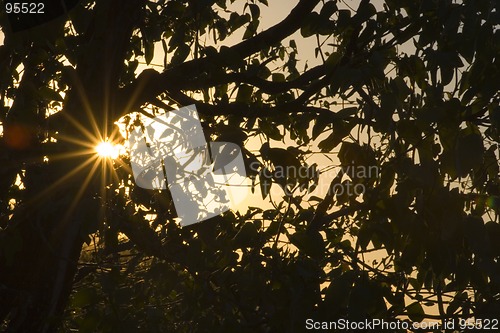 Image of African sunset