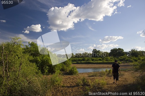 Image of Walking safari