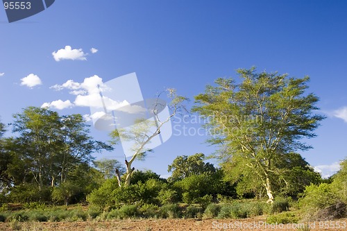 Image of African scenery