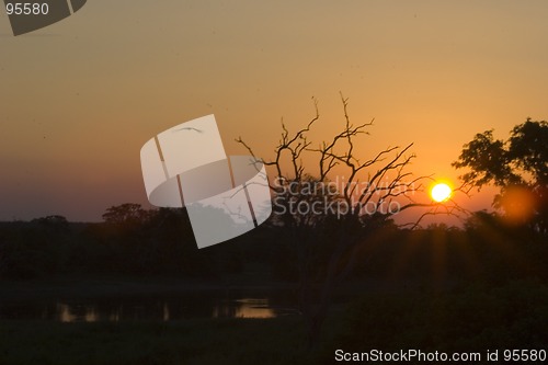Image of African sunset