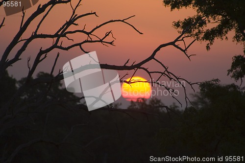 Image of African sunset