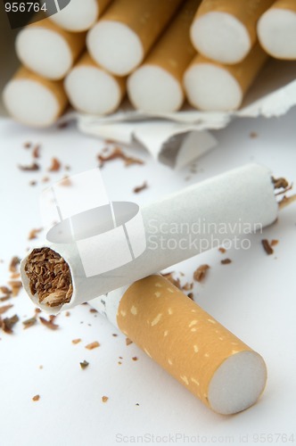 Image of broken cigarette