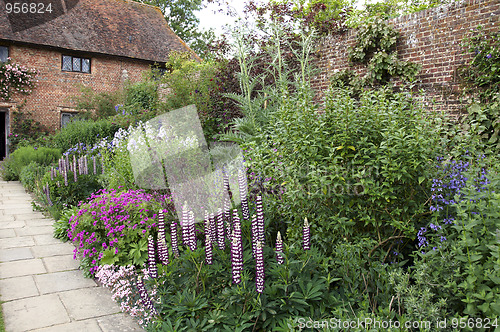 Image of Cottage garden