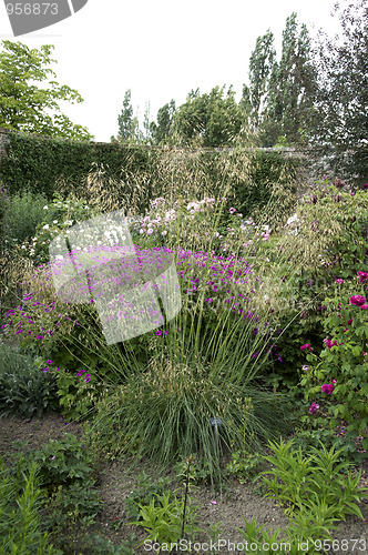 Image of Cottage garden