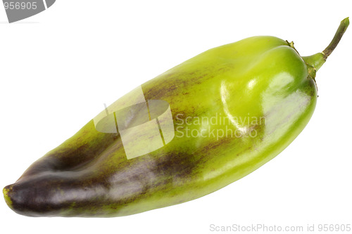 Image of Single green-purple fresh pepper