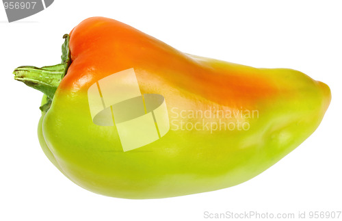 Image of Single green-red fresh pepper
