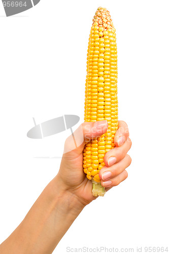 Image of Hand with corn