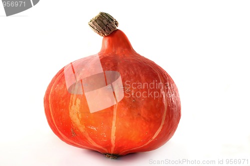 Image of Pumpkin