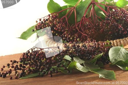 Image of Elder berries