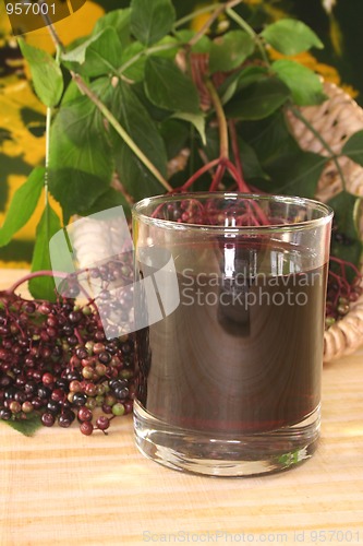 Image of Elderberry juice