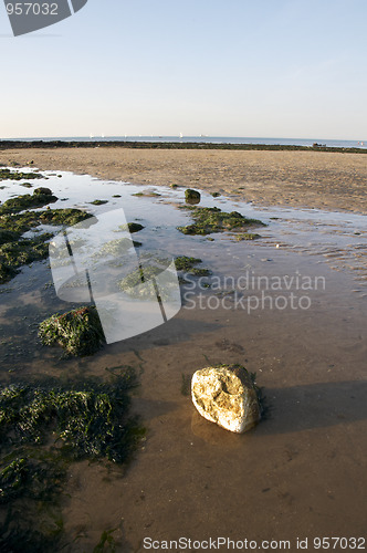 Image of Beach