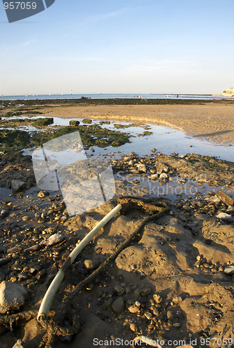 Image of Beach