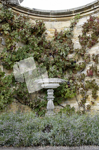 Image of Stone bird-bath