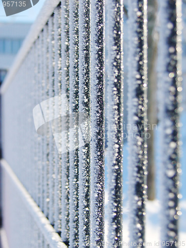 Image of Frost on fence