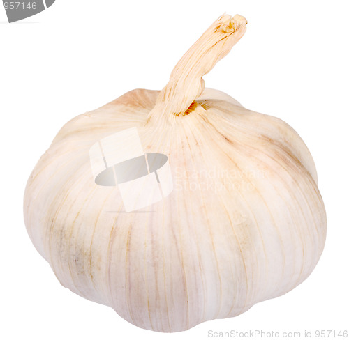 Image of Single white garlic