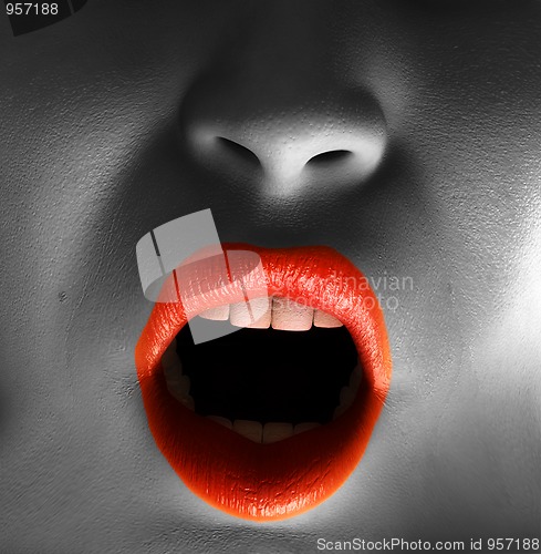 Image of Close Up Of Shouting Mouth