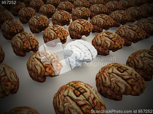 Image of Odd Brain Out 