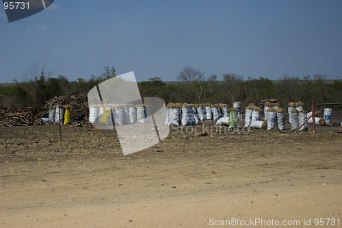 Image of Firewood for sale