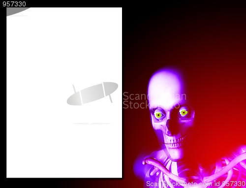 Image of Skull