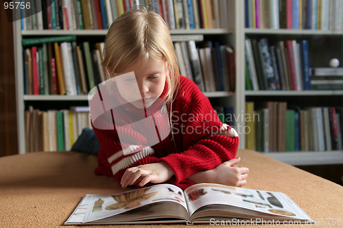 Image of Reading a book