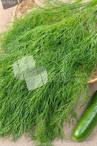 Image of Dill