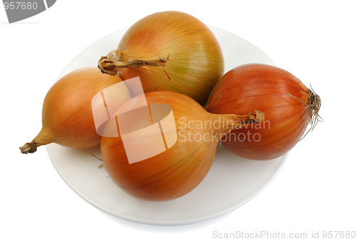 Image of Onions, isolated