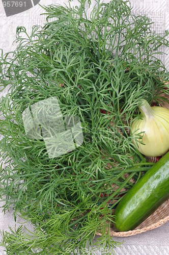 Image of Dill
