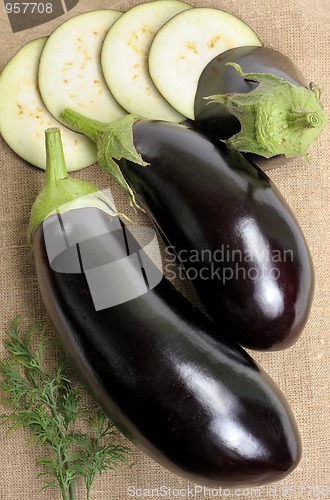 Image of Eggplants.