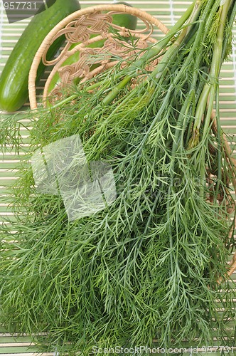 Image of Dill