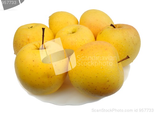 Image of Yellow apples, isolated