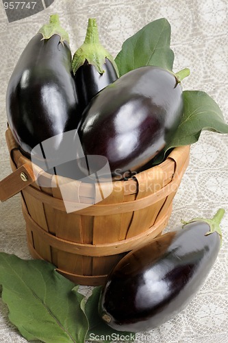 Image of Eggplants.