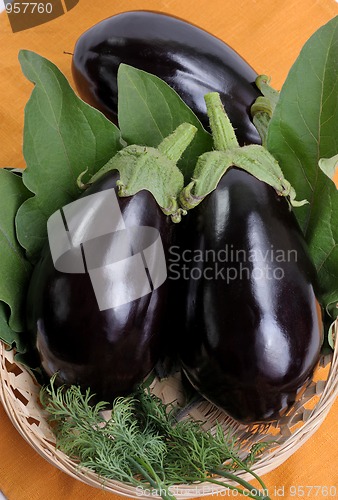 Image of Eggplants.