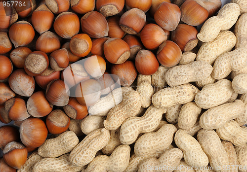 Image of Walnuts and peanuts