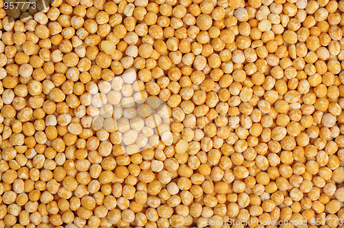 Image of Pea, isolated