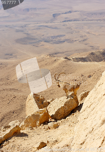 Image of Makhtesh Ramon