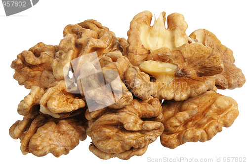 Image of walnut (Juglans regia)