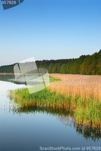 Image of Coast of lake