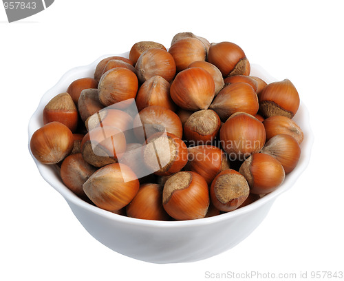 Image of Hazelnuts, isolated