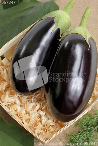 Image of Eggplants.