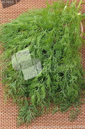 Image of Dill