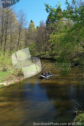 Image of River in the forest