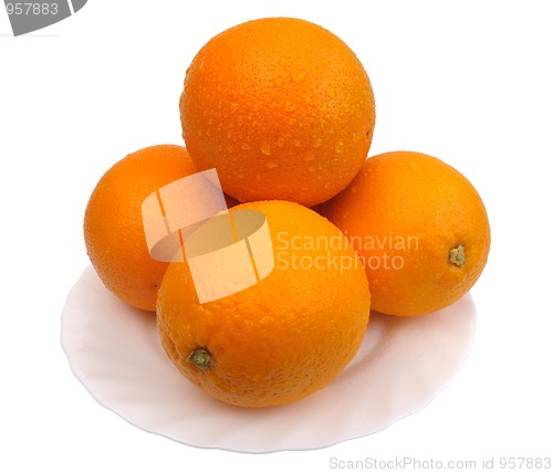 Image of Oranges, isolated