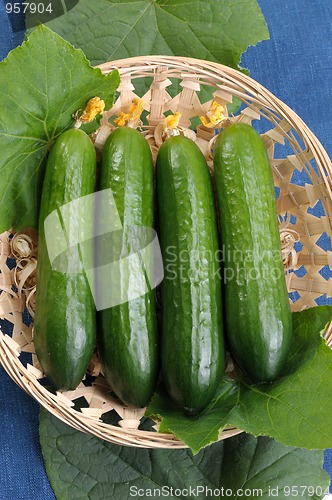 Image of Cucumbers