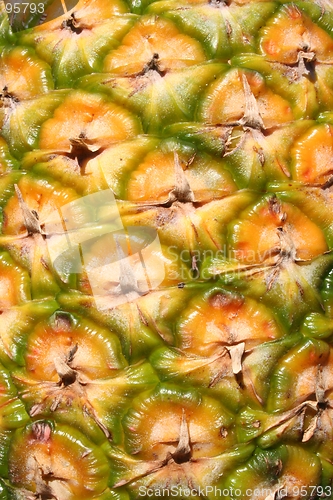 Image of Pineapple  Abstract